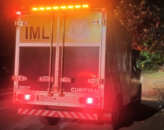 ml